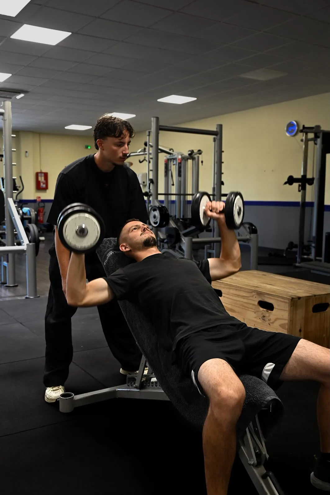 Dumbbell Press