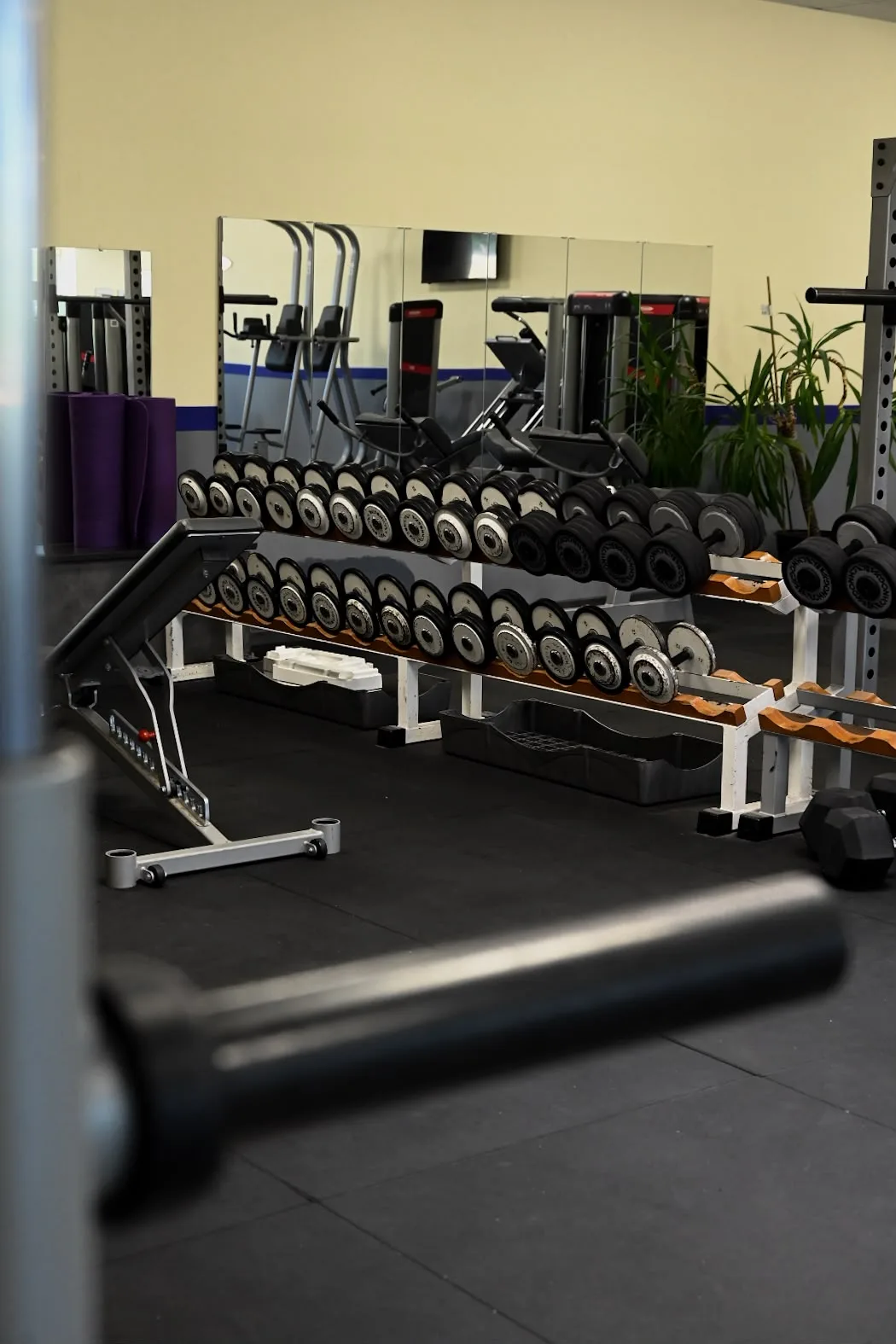 AresCoaching Gym